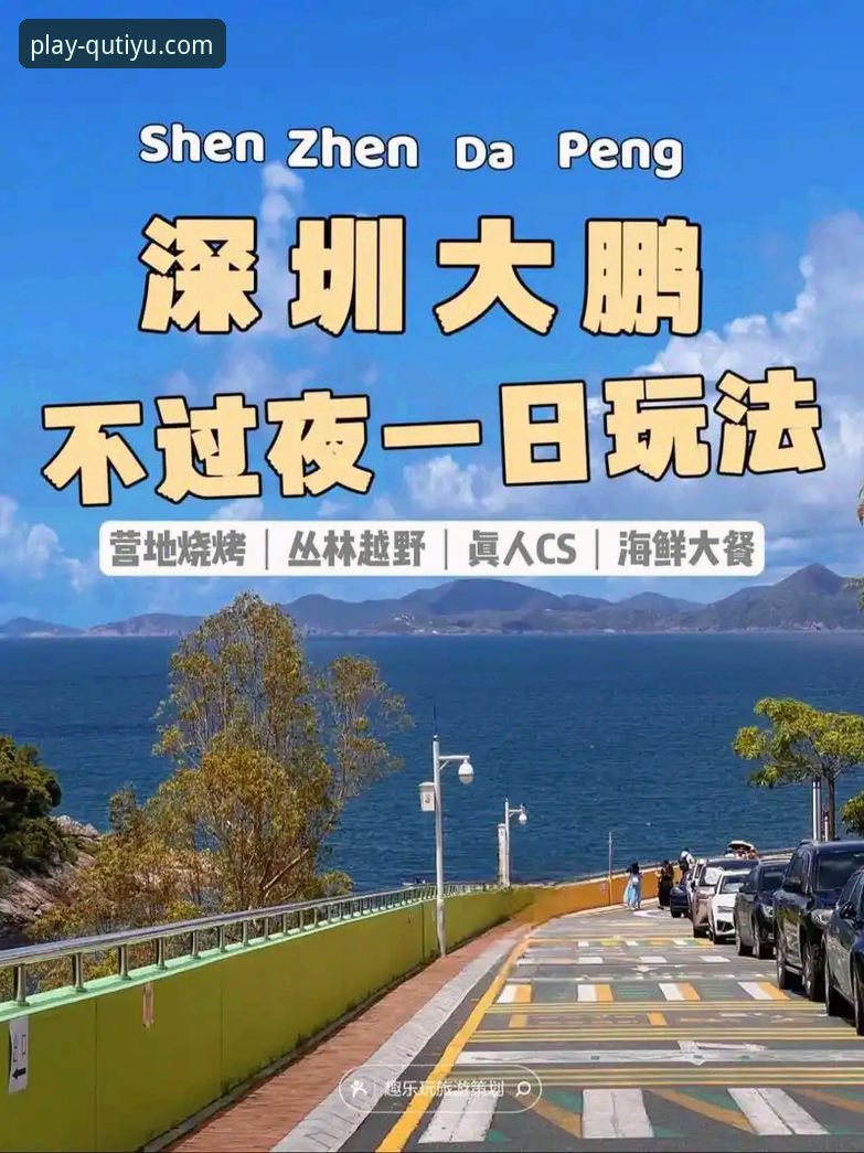 趣体育APP官方链接 趣体育官方平台全面解析:如何安全获取官方链接与深度体验指南